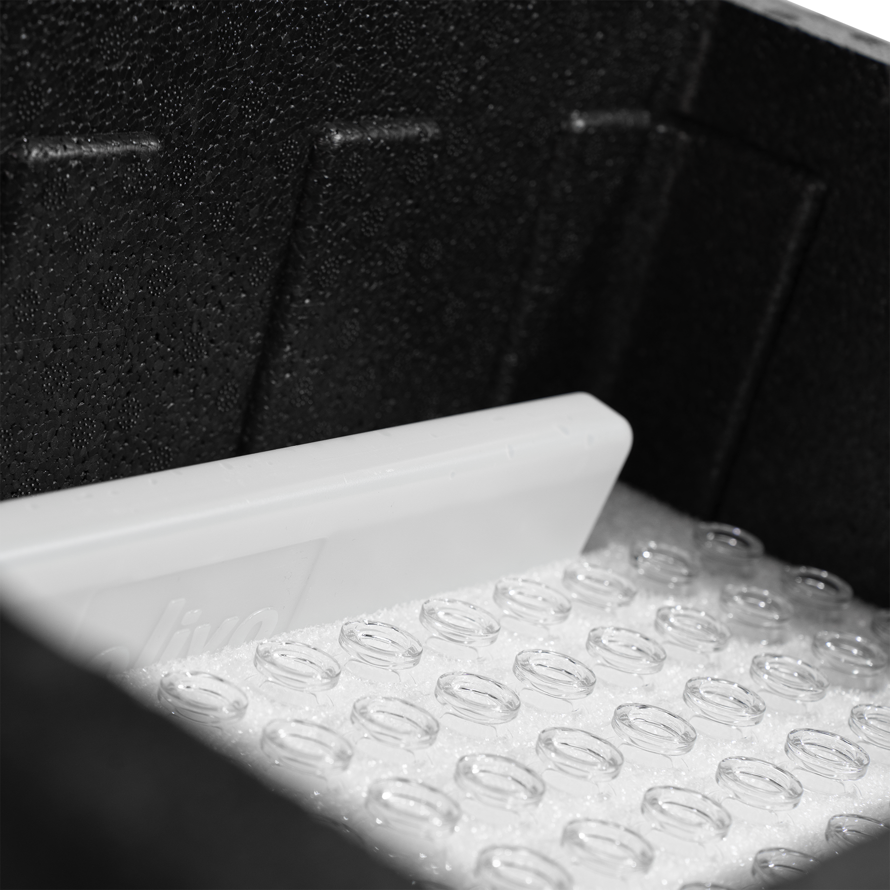 Contenedor BOX 34L Polipropileno Expandido | RecipienX
